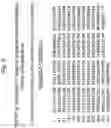 Fig. 15 - CD127 EXPRESSION INVERSELY CORRELATES WITH FOXP3 AND SUPPRESSIVE FUNCTION OF CD4+ TREGS