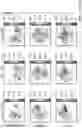 Fig. 22 - IDENTIFICATION OF LOW-DENSITY INFLAMMATORY NEUTROPHILS IN SEVERE COVID-19 PATIENTS