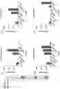 Fig. 07 - Multiple Myeloma Mapping and Uses Thereof