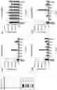 Fig. 45 - Multiple Myeloma Mapping and Uses Thereof