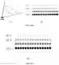 Fig. 03 - CONVOLUTIONAL NEURAL NETWORK BASED ON CHANNEL-SPECIFIC CONVOLUTION FOR HIGH-SPEED OBJECT RECOGNITION OF 3D LiDAR