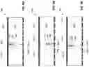 Fig. 09 - RADIATION DETECTOR ARRAYS HAVING INCREASED EFFICIENCY AND METHODS OF OPERATING THEREOF