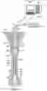 Fig. 02 - Sonic Through Tubing Cement Evaluation