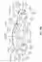 Fig. 11 - APPLICATION PROGRAMING INTERFACE TO INDICATE CONCURRENT WIRELESS CELL CAPABILITY