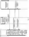 Fig. 06 - Method for order-preserving execution of write request and network device