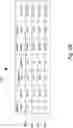Fig. 08 - Data file compression