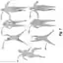 Fig. 08 - GENERATING MAPPINGS OF THREE-DIMENSIONAL MESHES UTILIZING NEURAL NETWORK GRADIENT FIELDS