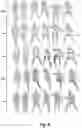 Fig. 09 - GENERATING MAPPINGS OF THREE-DIMENSIONAL MESHES UTILIZING NEURAL NETWORK GRADIENT FIELDS