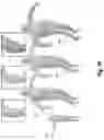 Fig. 11 - GENERATING MAPPINGS OF THREE-DIMENSIONAL MESHES UTILIZING NEURAL NETWORK GRADIENT FIELDS