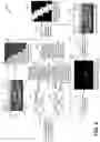 Fig. 06 - ADAPTIVE FEATURE EXTRACTION TO DETECT LETTERS AND EDGES ON VEHICLE LANDING SURFACES