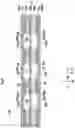 Fig. 10 - TRANSMISSION LINE AND ELECTRONIC DEVICE