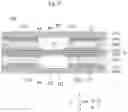 Fig. 13 - TRANSMISSION LINE AND ELECTRONIC DEVICE