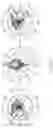 Fig. 09 - Wideband phased array antenna for millimeter wave communications