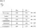 Fig. 09 - Configurable high-frequency pulsed laser diode driver