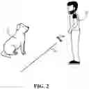 Fig. 06 - Method and system for dog training