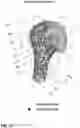 Fig. 13 - HUMERUS ANATOMICAL NECK DETECTION FOR SHOULDER REPLACEMENT PLANNING