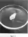 Fig. 02 - A METHOD OF MAKING A MODIFIED POLYMER-BASED INDIVIDUAL 3D PRINTED BIORESORBABLE BONE IMPLANT FOR USE IN TRAUMATOLOGY AND ORTHOPEDICS