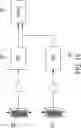 Fig. 13 - Smart Implant Peripheral Services