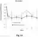 Fig. 07 - PHARMACEUTICAL COMPOSITION OF INTRA-ARTICULAR CORTICOSTEROID FOR PAIN CONTROL