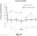 Fig. 09 - PHARMACEUTICAL COMPOSITION OF INTRA-ARTICULAR CORTICOSTEROID FOR PAIN CONTROL