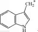Fig. 28 - TYROSINE AND RESVERATROL DERIVATIVES AS NOVEL MODULATORS OF CELLULAR SERINE-ADP-RIBOSYLATION