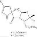 Fig. 20 - SPIRO-LACTAM COMPOUNDS, PROCESS AND USES THEREOF
