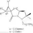 Fig. 22 - SPIRO-LACTAM COMPOUNDS, PROCESS AND USES THEREOF