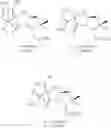 Fig. 23 - SPIRO-LACTAM COMPOUNDS, PROCESS AND USES THEREOF
