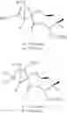 Fig. 24 - SPIRO-LACTAM COMPOUNDS, PROCESS AND USES THEREOF