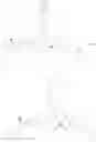 Fig. 722 - Anti-Viral Compounds