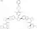 Fig. 810 - Anti-Viral Compounds