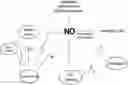 Fig. 01 - COMPOSITIONS OF NITRATES AND METHODS OF USE THEREOF