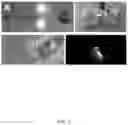 Fig. 03 - PHOTOSYNTHETIC CELLULAR SUBSTANCES AND METHODS OF USE THEREOF