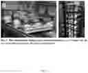 Fig. 04 - PHOTOSYNTHETIC CELLULAR SUBSTANCES AND METHODS OF USE THEREOF