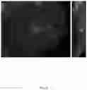 Fig. 06 - PHOTOSYNTHETIC CELLULAR SUBSTANCES AND METHODS OF USE THEREOF