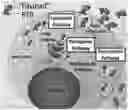 Fig. 01 - MATERIALS AND METHODS FOR MITIGATING IMMUNE-SENSITIZATION