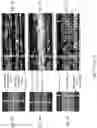 Fig. 08 - Porous substrate-based microfluidic devices