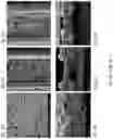 Fig. 09 - Porous substrate-based microfluidic devices
