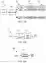 Fig. 13 - SYSTEM AND METHODS FOR CONTROLLING POURING WATER FROM A BREWER