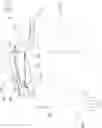 Fig. 04 - Arm supporting exoskeleton with a variable force generator