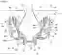 Fig. 09 - Aircraft turbine engine comprising variable-pitch propeller blades