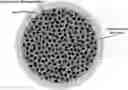 Fig. 01 - GENETICALLY MODIFIED CELL LINES EXPRESSING AN EXOGENOUS SUBSTANCE AND USES THEREOF