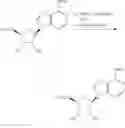 Fig. 167 - MODIFIED SIRNA WITH REDUCED OFF-TARGET ACTIVITY