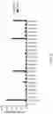 Fig. 07 - T CELL RECEPTOR (TCR) COMPOSITIONS AND METHODS FOR OPTIMIZING ANTIGEN REACTIVE T-CELLS