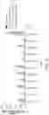 Fig. 28 - T CELL RECEPTOR (TCR) COMPOSITIONS AND METHODS FOR OPTIMIZING ANTIGEN REACTIVE T-CELLS