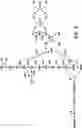 Fig. 06 - MICROORGANISMS AND METHODS FOR THE PRODUCTION OF BUTADIENE USING ACETYL-COA