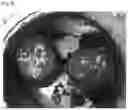 Fig. 03 - Method for Measuring Properties of Anode Slurry