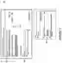 Fig. 08 - SYSTEMS AND METHODS FOR VISUALIZING AND MANAGING PROJECT FLOWS IN A MEGAPROJECT