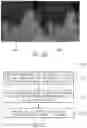 Fig. 26 - MOTION COMPRESSION FOR EFFICIENT DYNAMIC MESH CODING
