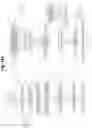 Fig. 17 - UTTERANCE UNDERSTANDING SUPPORT SYSTEM, METHOD, DEVICE AND PROGRAM